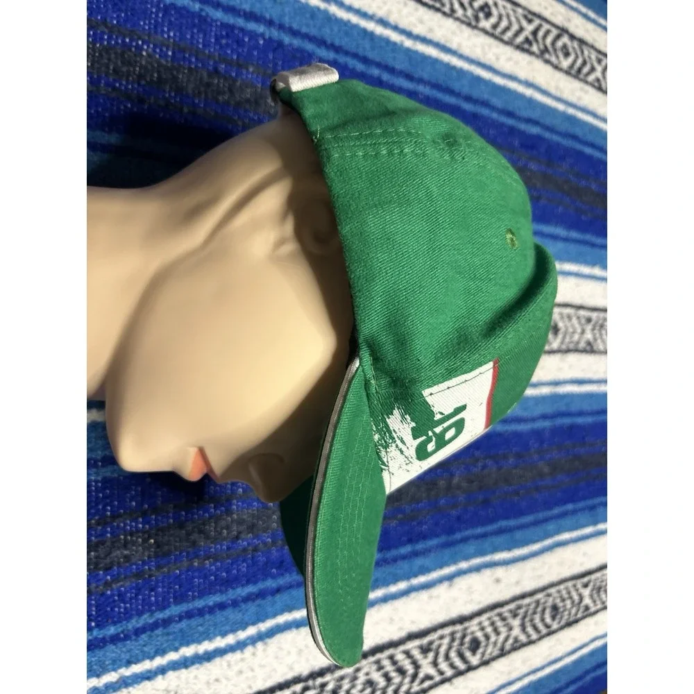 Puma se palmeiras